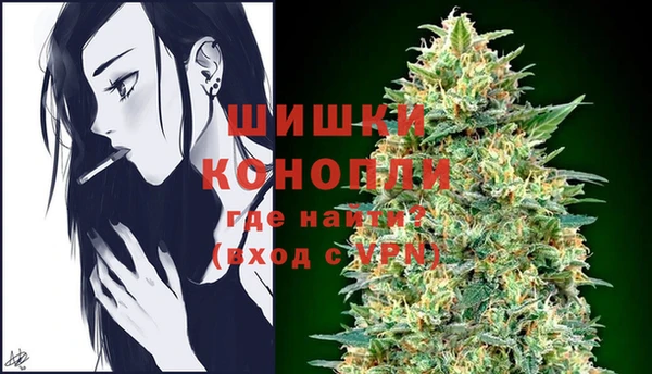 ГАЛЛЮЦИНОГЕННЫЕ ГРИБЫ Горно-Алтайск