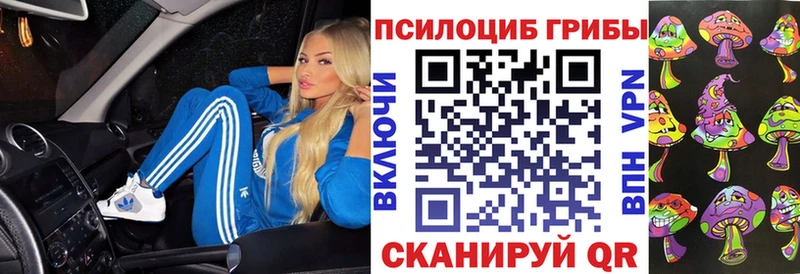 купить  цена  Дмитровск  мориарти Telegram  Псилоцибиновые грибы Magic Shrooms 